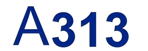 A313